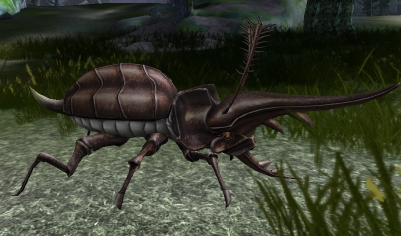 Внешний вид Титановый жук